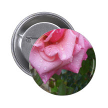 Steg knäppas 003 pins