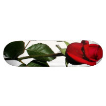 STEG SKATE BOARD
