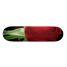Steg Skate Deck