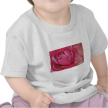 Steg T Shirts