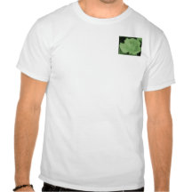 Steg Tee Shirt