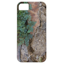 Stein mit Planze iPhone 5 Schutzhüllen