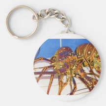 Stenhummer Nyckel Ring