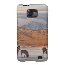 Stenig berglandmorgon samsung galaxy s2 fodral