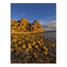 Stenig shoreline på Isla Carmen i bukten av Vykort