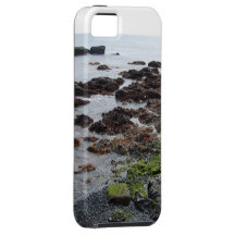 Steniga kuster iPhone 5 cover