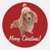Sticker "Dackel" Weihnachten