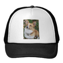 Stilig Corgi Kepsar