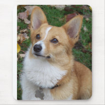 Stilig Corgi Musmatta