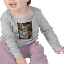 Stilig Corgi Tröja