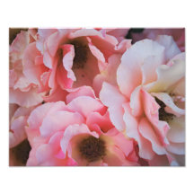 Stilla rosa rosblom - blomsterfotografi