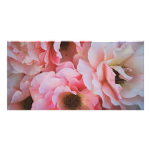 Stilla rosa rosblom - blomsterfotografi anpassade foto kort