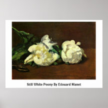 Stilla vitpion av Edouard Manet Print
