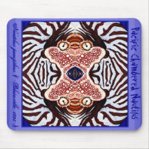Stillahavs- Chambered Nautilus Musmattor