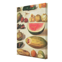 Stilleben med frukt och padda sträckt canvastryck