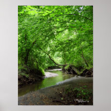Stillsamt strömma, poster print