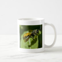 Stinger i gult kaffe koppar