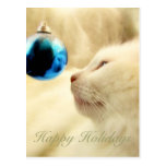 Stirra på en blåttstjärna vykort
