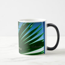 Stjärnahandflatan Kaffe Koppar