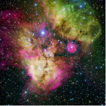 Stjärnan samla i en klunga nebulaen NGC 2467 Photo Cutout