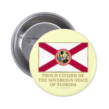 Stolt medborgare av Florida Pins