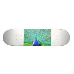 stolt som påfågel skate deck