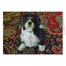 STOLT SPANIEL FÖR KUNG CHARLES KORT