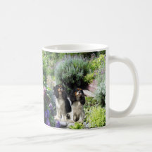 Stolt Spanielmugg för kung Charles