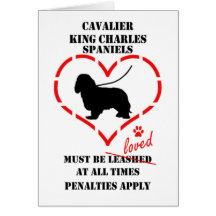 Stolt Spaniels för kung Charles måste älskas Kort
