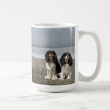 Stolt Spaniels för kung Charles på strandmuggen