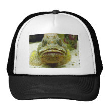 Stonefish Baseball Hat
