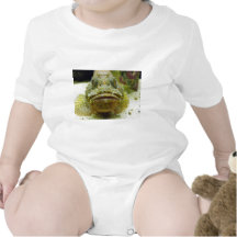 Stonefish Body