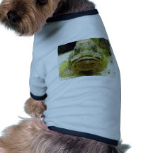 Stonefish Djur Tee Shirt