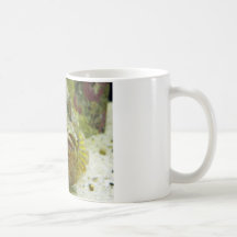 Stonefish Kaffe Muggar