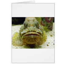 Stonefish Kort