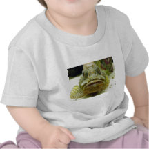 Stonefish Tshirts
