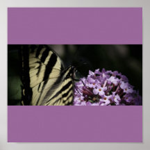 Stoppa och lukta blommorna posters