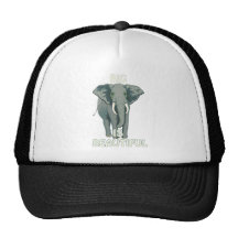 Stor är den härliga elefanten baseball hat