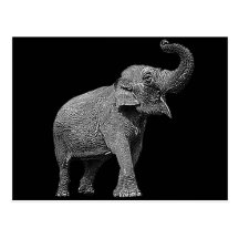 STOR ASIATISK ELEFANT - INDISK ELEFANT VYKORT