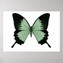 Stor grönt- & svartfjäril print