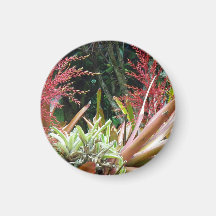 Stor ö av den Hawaii botanisk trädgårdmagneten Kylskåpsnagnet