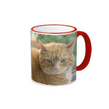 Stor röd/gul kattunge för kaffe muggar