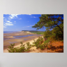 Stor torsk för öWellfleet udd Print