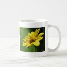 Stora gula vildblommar 4 kaffe koppar
