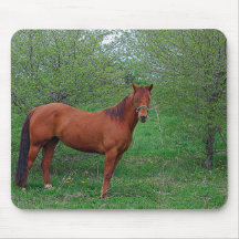 Stora röda Mousepad Mus Mattor