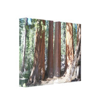 Sträckt kanvastryck för Yosemite stor träd 2 panel