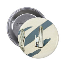 Stranden strandar pins