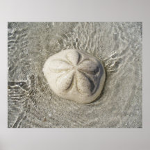 Strandgut Plakatdrucke