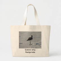 Strandtoto Kasse