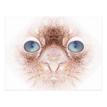Strangealienpetcat Vykort